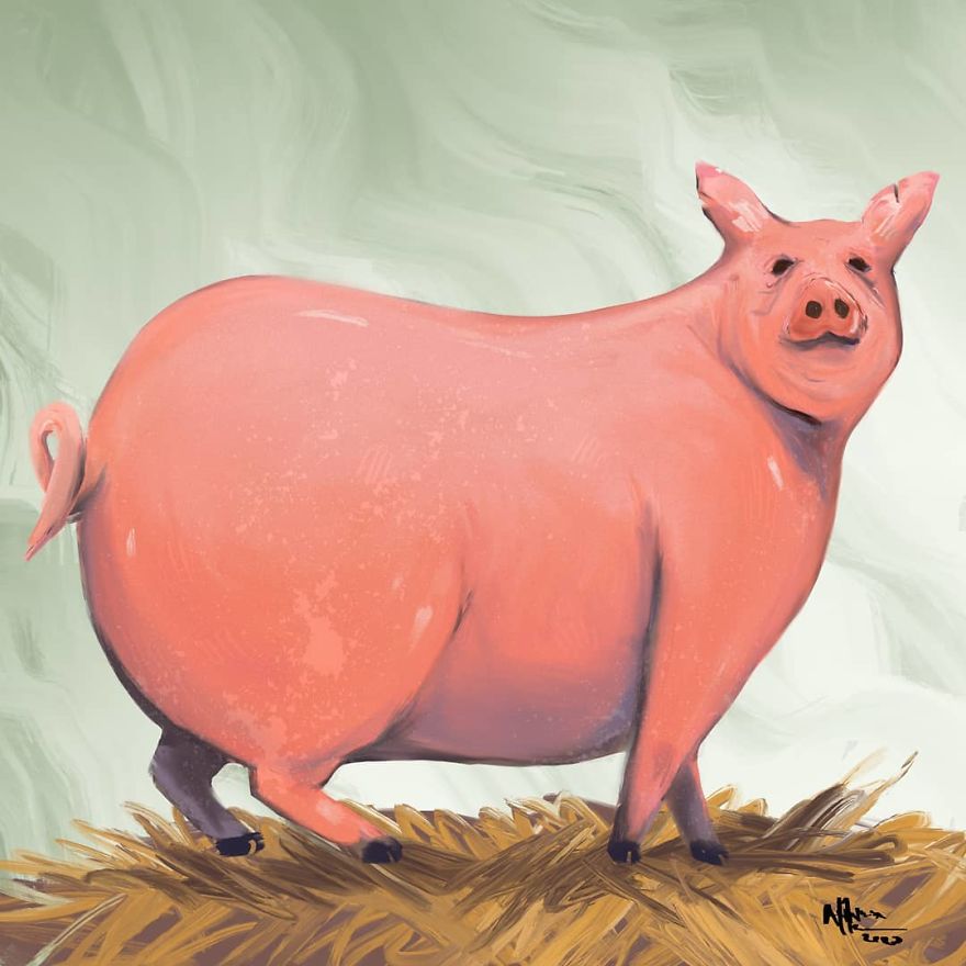 The Chonky Animal Series