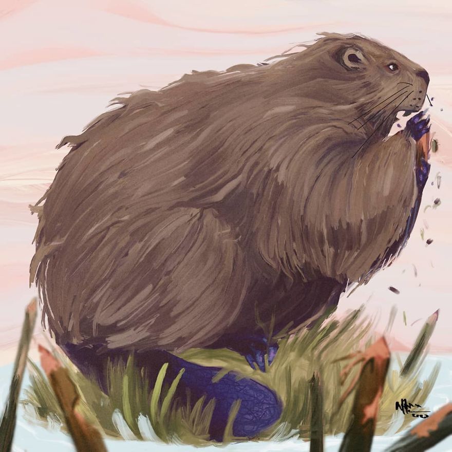 The Chonky Animal Series