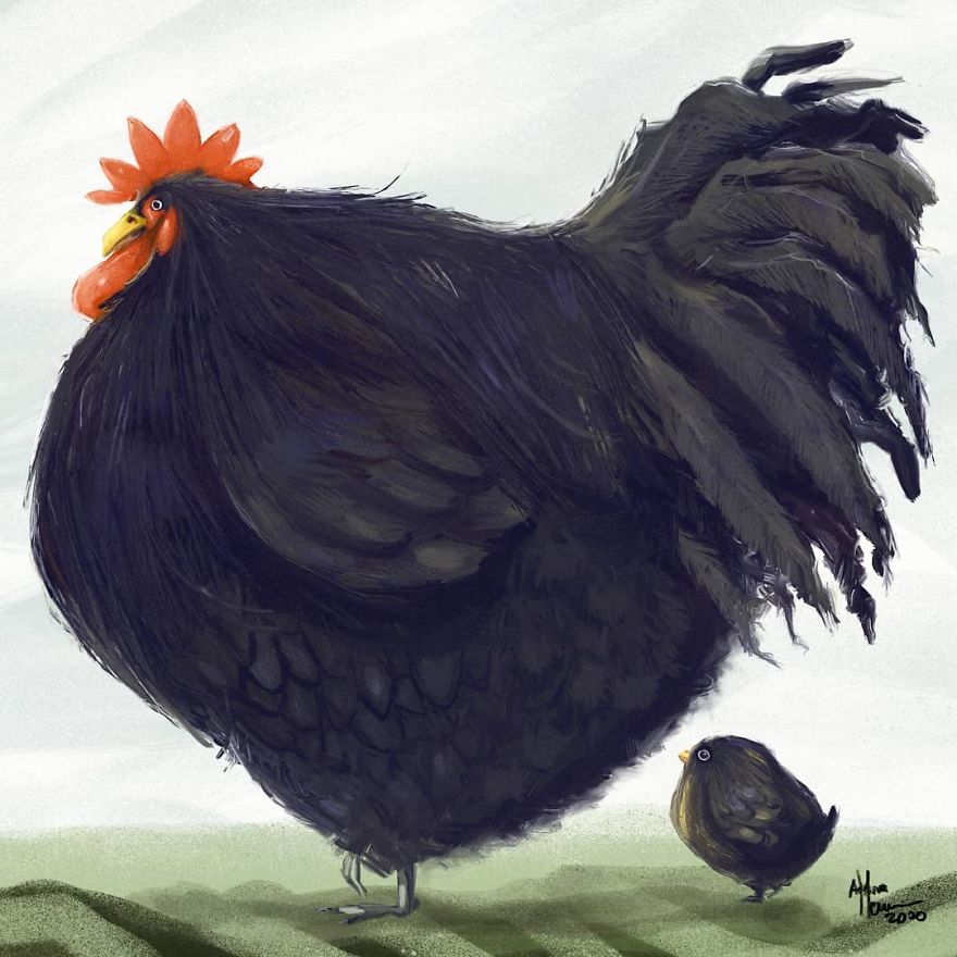 The Chonky Animal Series