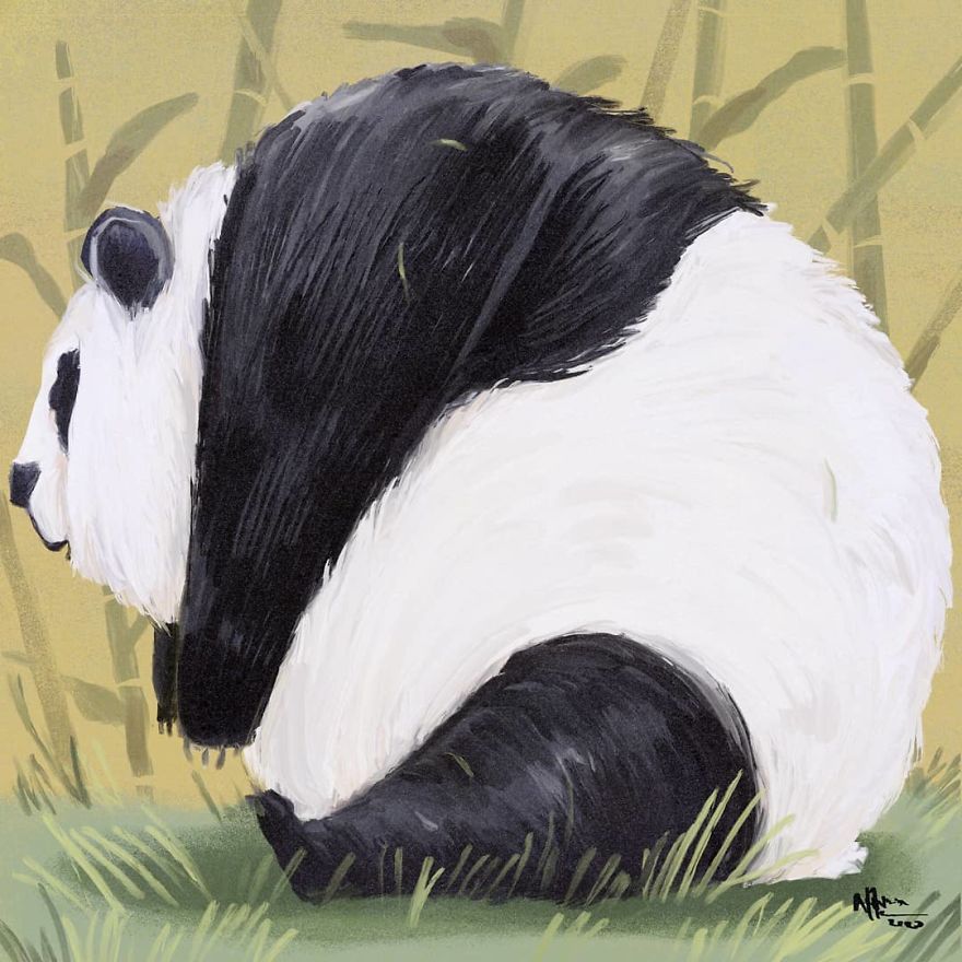 The Chonky Animal Series