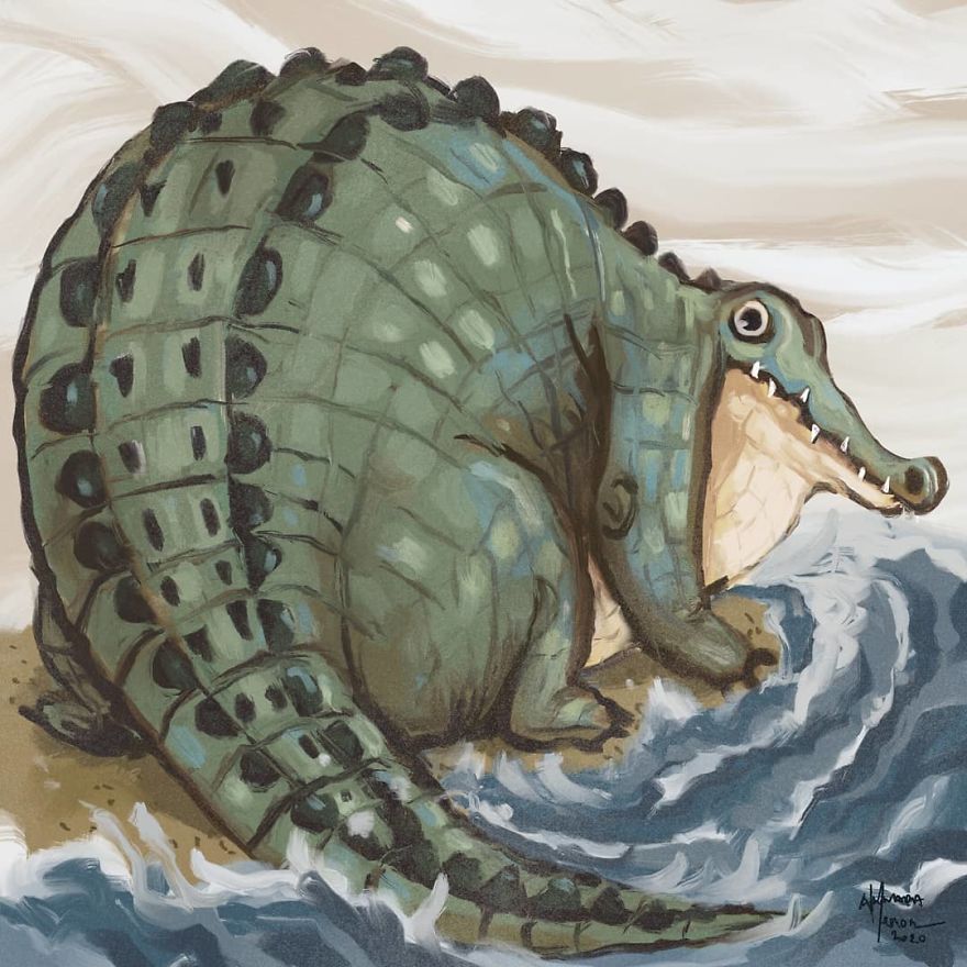 The Chonky Animal Series