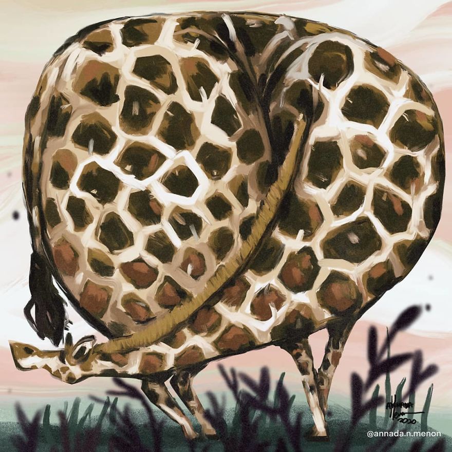 The Chonky Animal Series