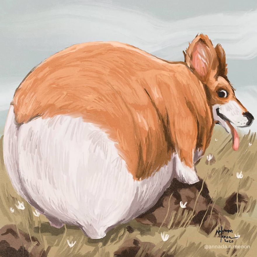 The Chonky Animal Series