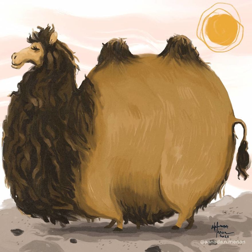 The Chonky Animal Series