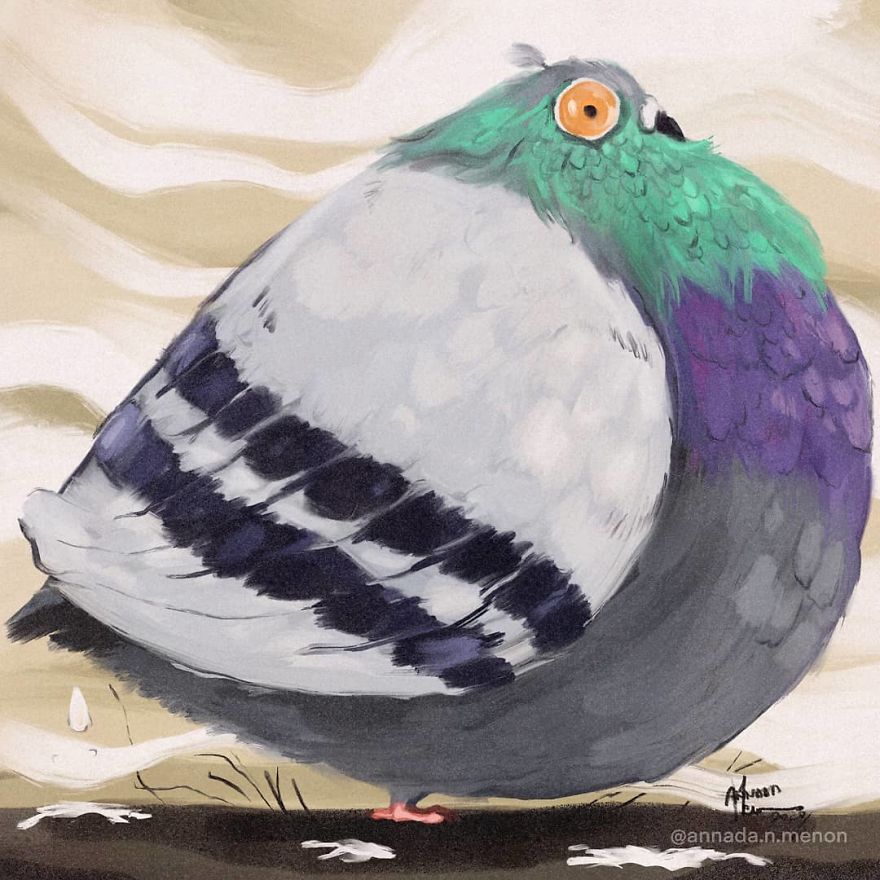 The Chonky Animal Series