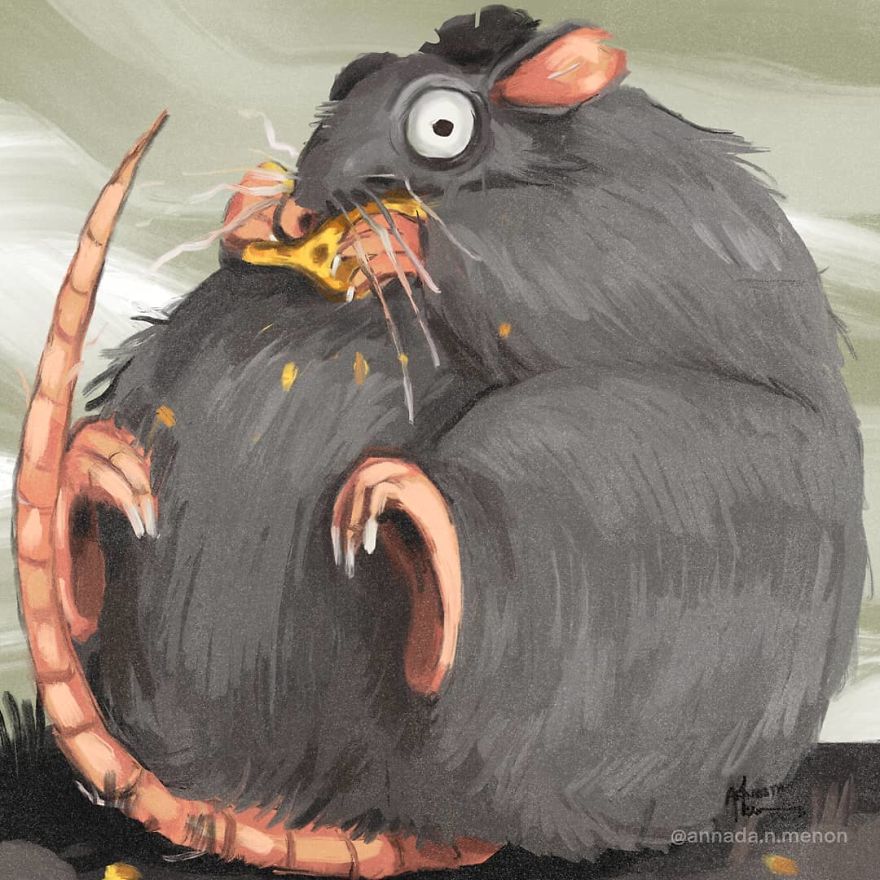 The Chonky Animal Series