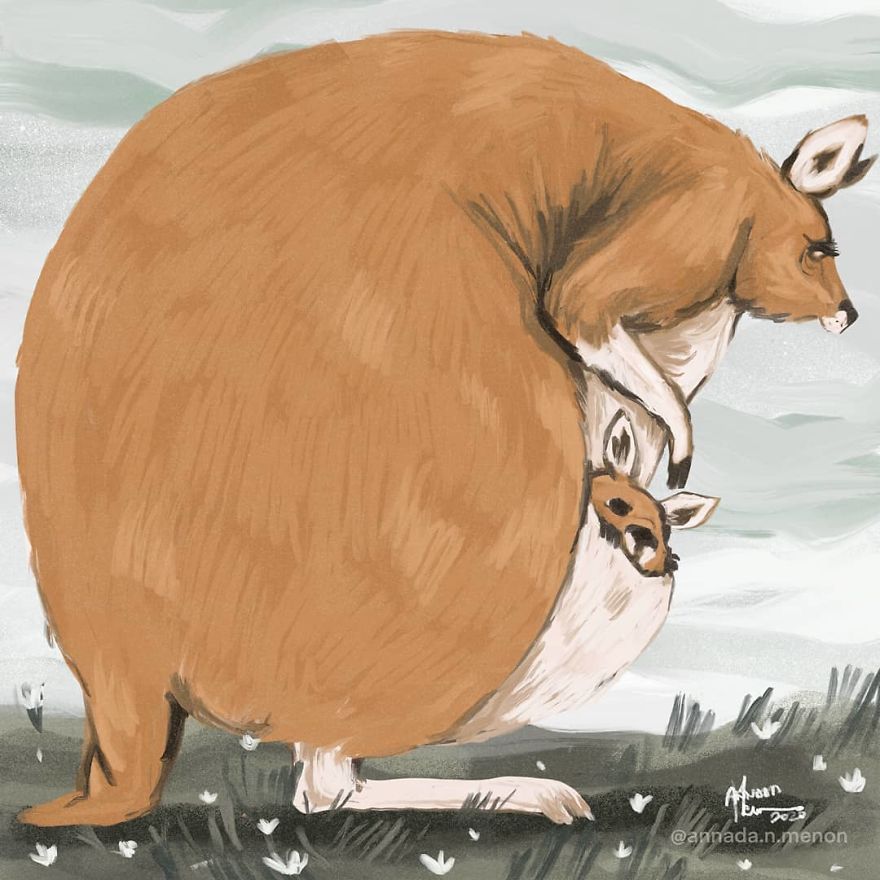 The Chonky Animal Series