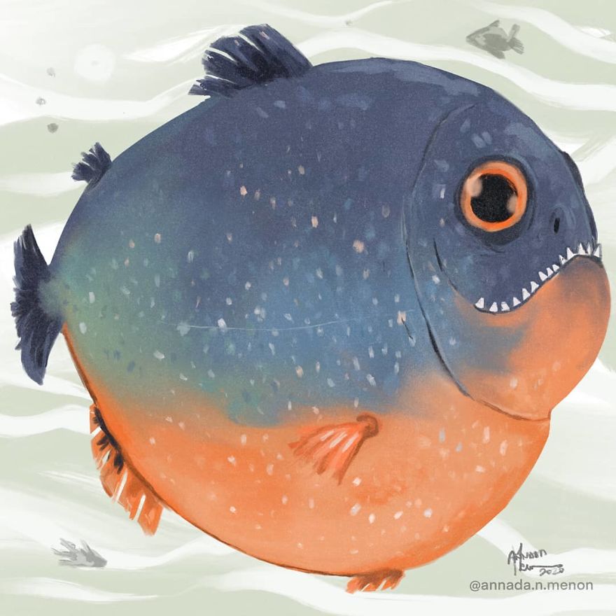 The Chonky Animal Series