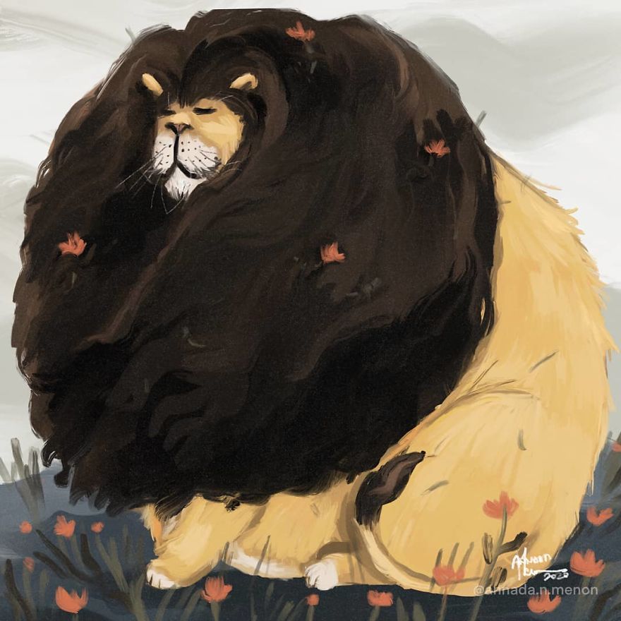 The Chonky Animal Series