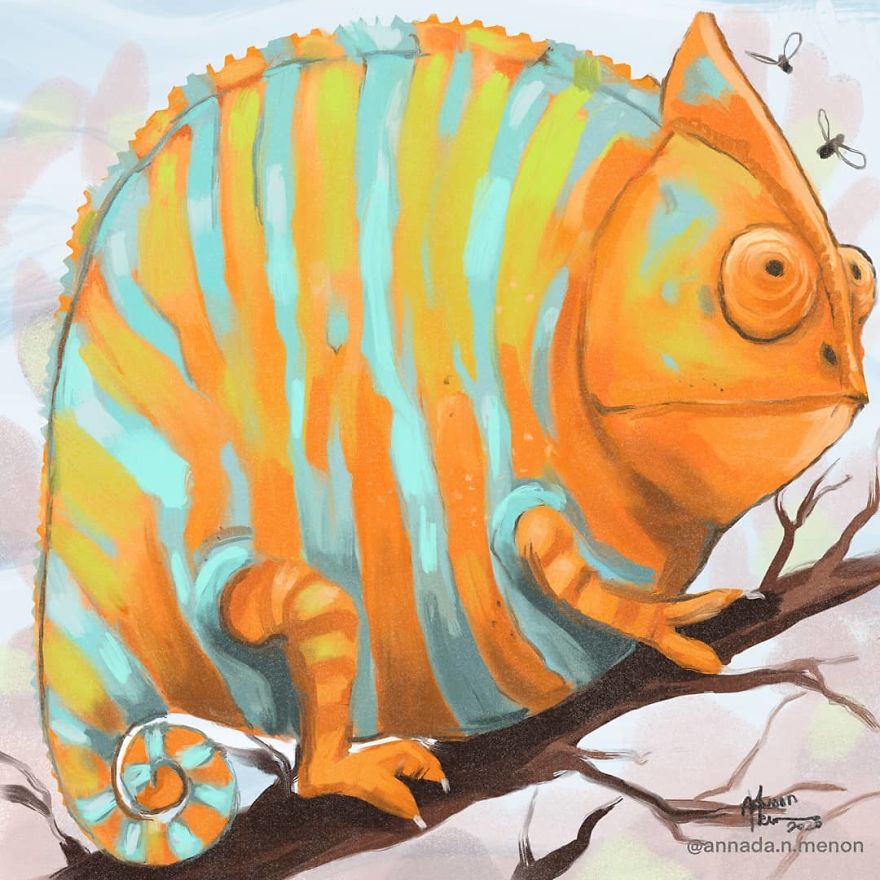 The Chonky Animal Series