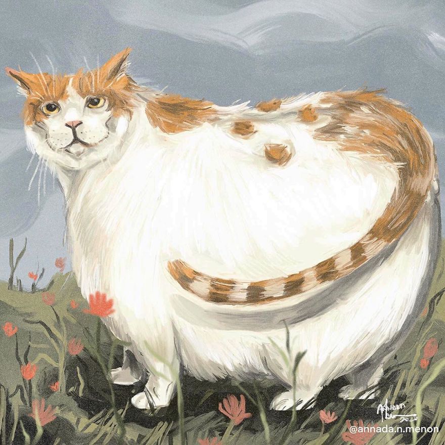 The Chonky Animal Series