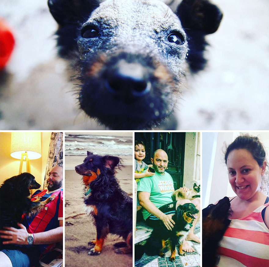 This Argentine Ngo Is Giving Abandoned Animals A Second Life