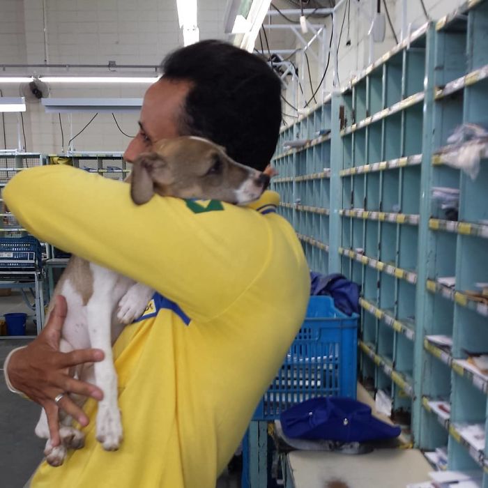 This Brazilian Postman Breaks The Stereotype That Dogs Don't Like Postmen (120 Pics)