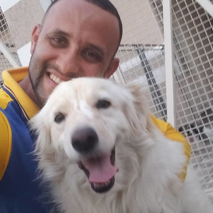 This Brazilian Postman Breaks The Stereotype That Dogs Don't Like Postmen (120 Pics)