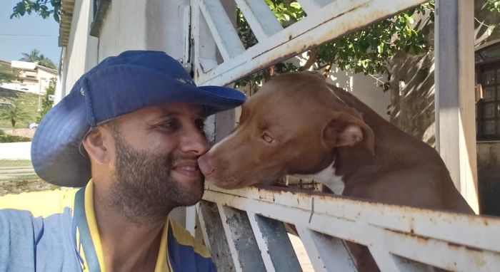 This Brazilian Postman Breaks The Stereotype That Dogs Don't Like Postmen (120 Pics)