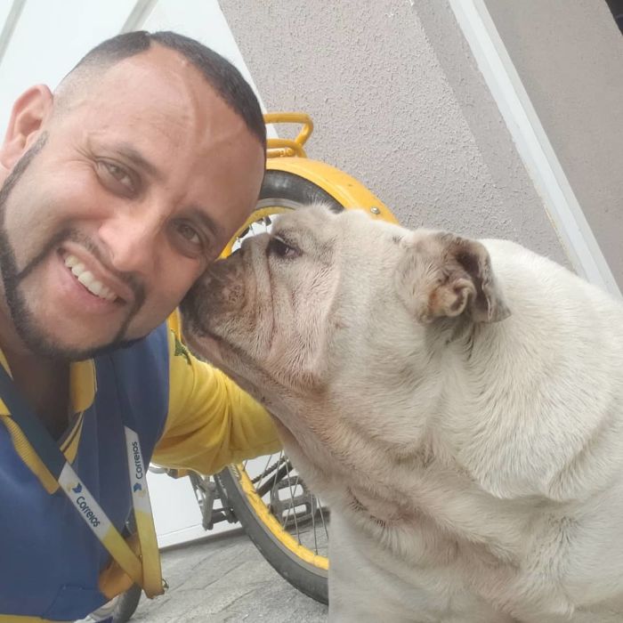 This Brazilian Postman Breaks The Stereotype That Dogs Don't Like Postmen (120 Pics)