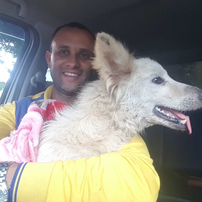 This Brazilian Postman Breaks The Stereotype That Dogs Don't Like Postmen (120 Pics)