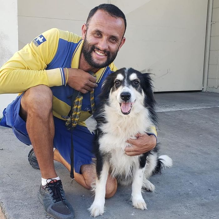 This Brazilian Postman Breaks The Stereotype That Dogs Don't Like Postmen (120 Pics)