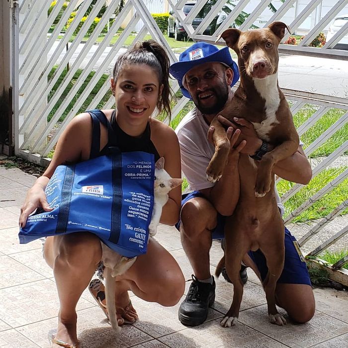 This Brazilian Postman Breaks The Stereotype That Dogs Don't Like Postmen (120 Pics)