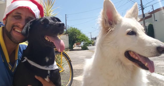 This Brazilian Postman Breaks The Stereotype That Dogs Don't Like Postmen (120 Pics)