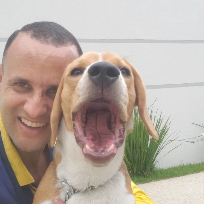 This Brazilian Postman Breaks The Stereotype That Dogs Don't Like Postmen (120 Pics)