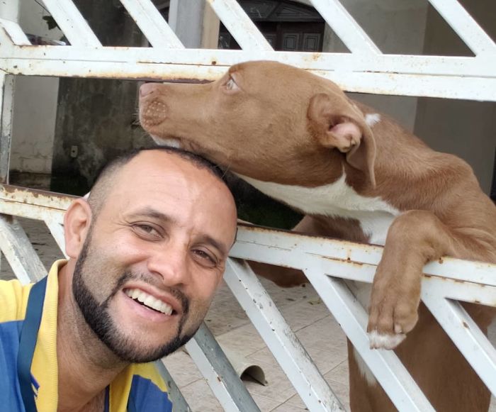 This Brazilian Postman Breaks The Stereotype That Dogs Don't Like Postmen (120 Pics)