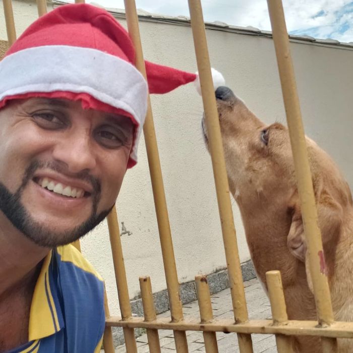 This Brazilian Postman Breaks The Stereotype That Dogs Don't Like Postmen (120 Pics)