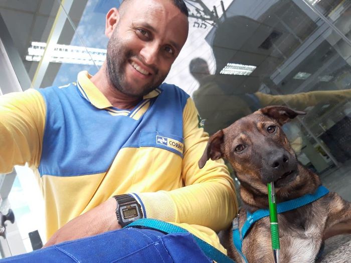 This Brazilian Postman Breaks The Stereotype That Dogs Don't Like Postmen (120 Pics)