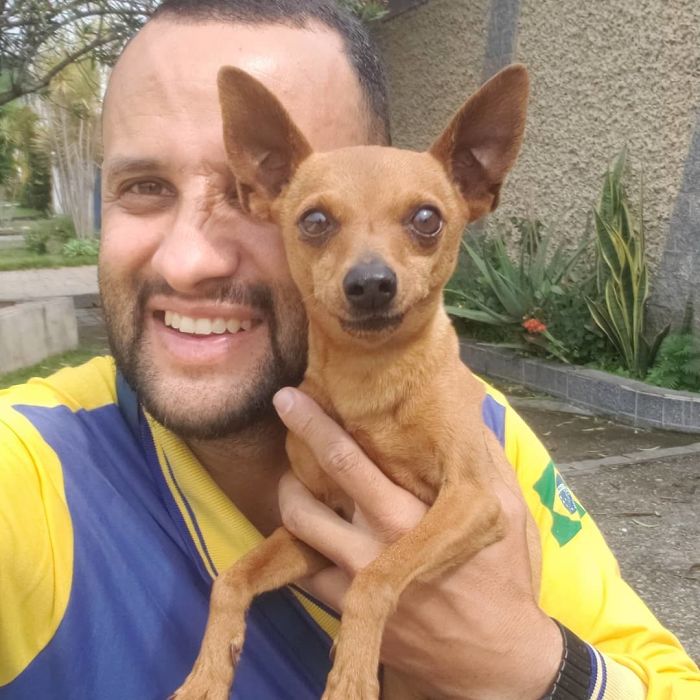 This Brazilian Postman Breaks The Stereotype That Dogs Don't Like Postmen (120 Pics)