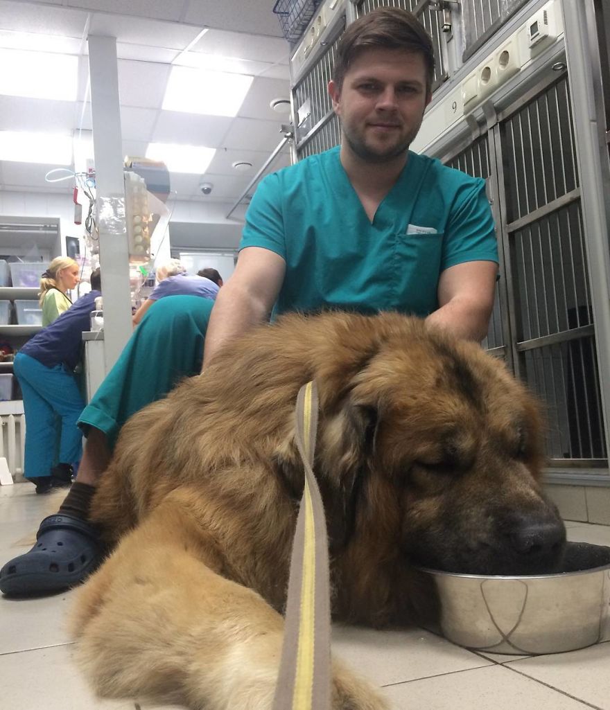 Vet Gives Top 10 Tips So That Everyone's Pet Can Live A Long And Happy Life