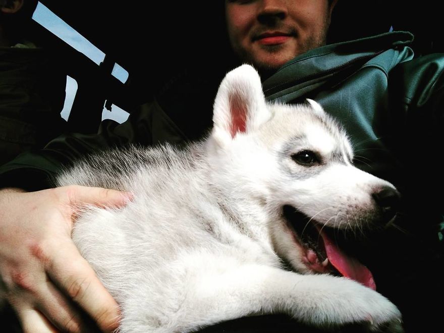 Vet Gives Top 10 Tips So That Everyone's Pet Can Live A Long And Happy Life