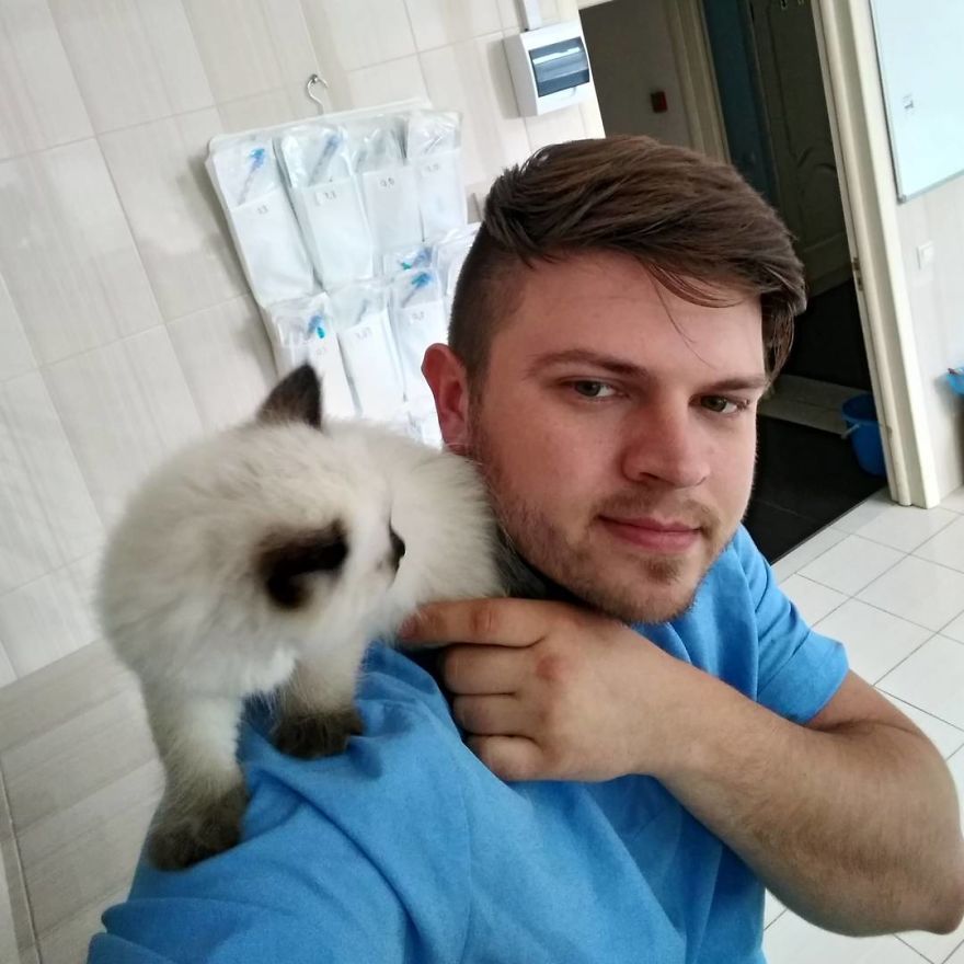 Vet Gives Top 10 Tips So That Everyone's Pet Can Live A Long And Happy Life Vet Gives Top 10 Tips So That Everyone's Pet Can Live A Long And Happy Life