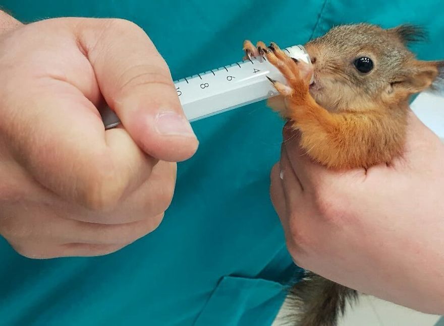 Vet Gives Top 10 Tips So That Everyone's Pet Can Live A Long And Happy Life Vet Gives Top 10 Tips So That Everyone's Pet Can Live A Long And Happy Life