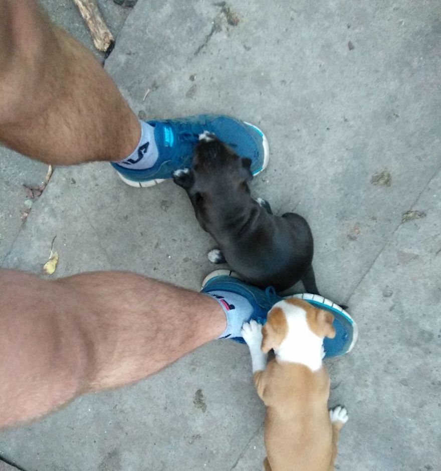 Vet Gives Top 10 Tips So That Everyone's Pet Can Live A Long And Happy Life Vet Gives Top 10 Tips So That Everyone's Pet Can Live A Long And Happy Life