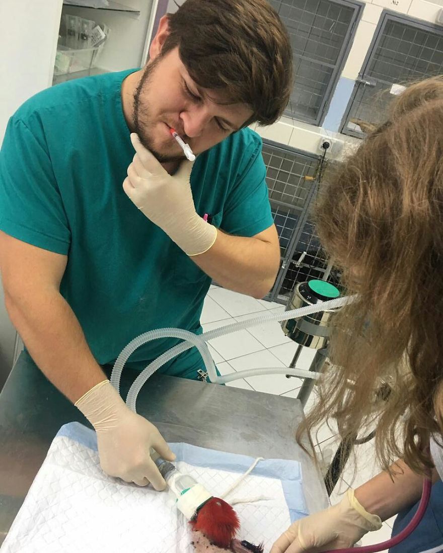 Vet Gives Top 10 Tips So That Everyone's Pet Can Live A Long And Happy Life Vet Gives Top 10 Tips So That Everyone's Pet Can Live A Long And Happy Life