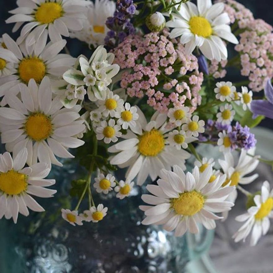 This Artist Creates Amazing Realistic Porcelain Flowers