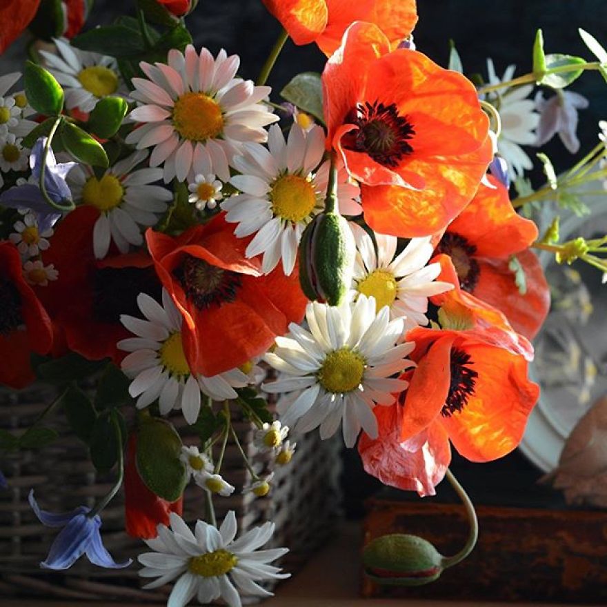 This Artist Creates Amazing Realistic Porcelain Flowers