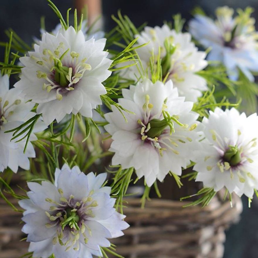 This Artist Creates Amazing Realistic Porcelain Flowers