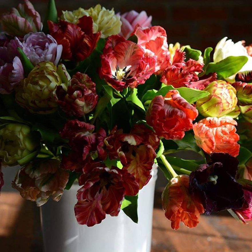 This Artist Creates Amazing Realistic Porcelain Flowers