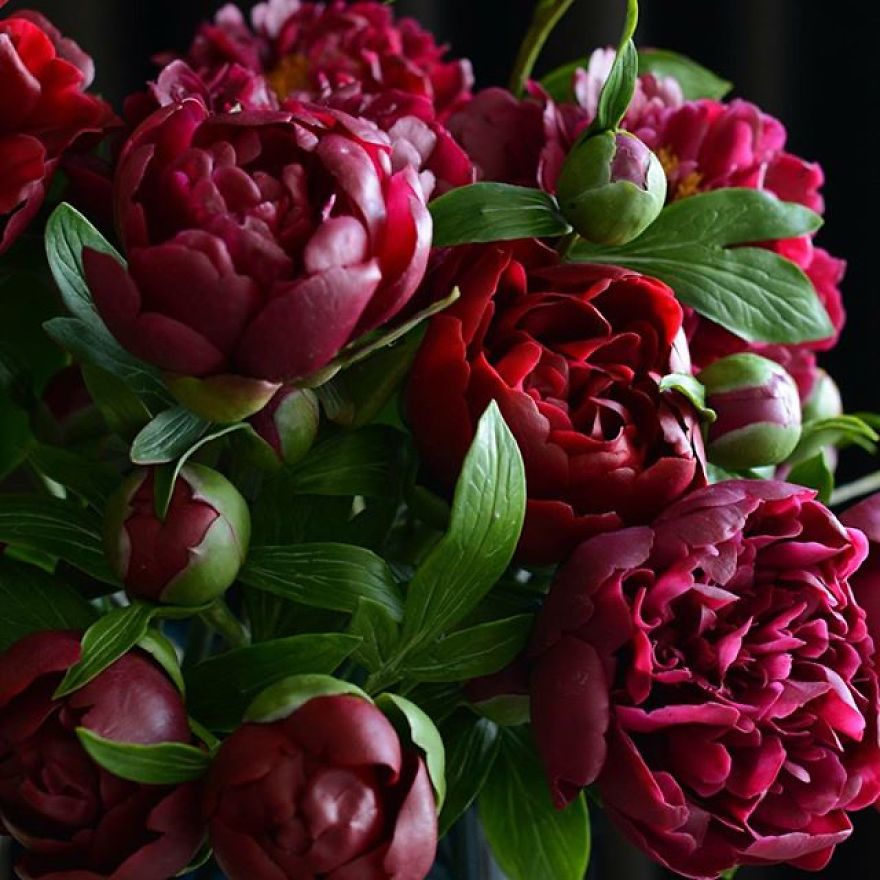 This Artist Creates Amazing Realistic Porcelain Flowers