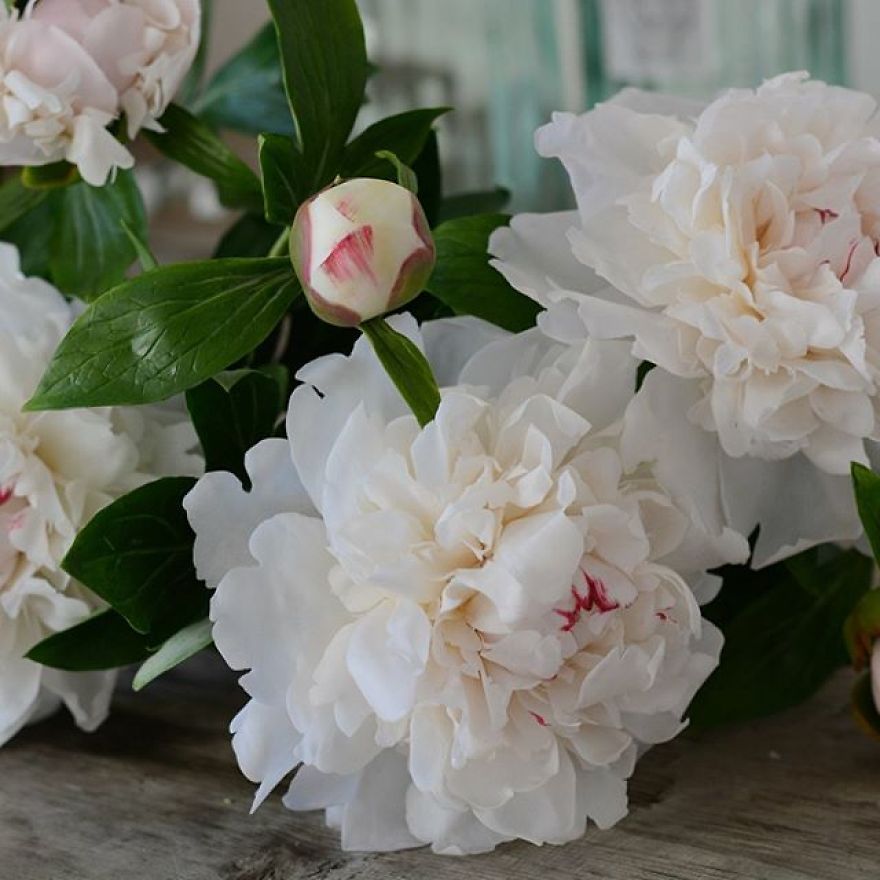 This Artist Creates Amazing Realistic Porcelain Flowers