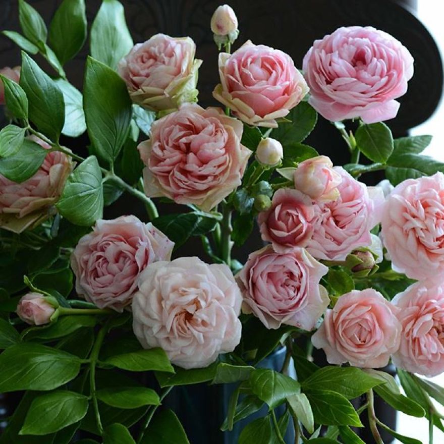 This Artist Creates Amazing Realistic Porcelain Flowers