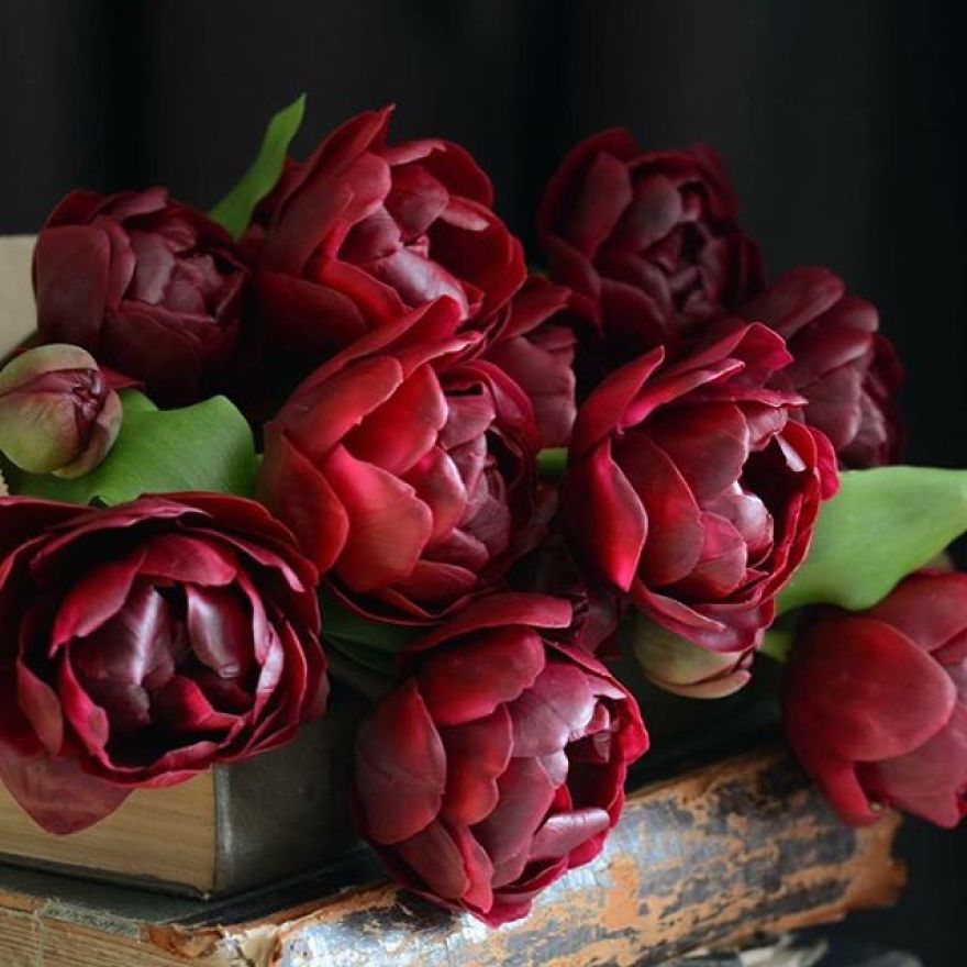 This Artist Creates Amazing Realistic Porcelain Flowers