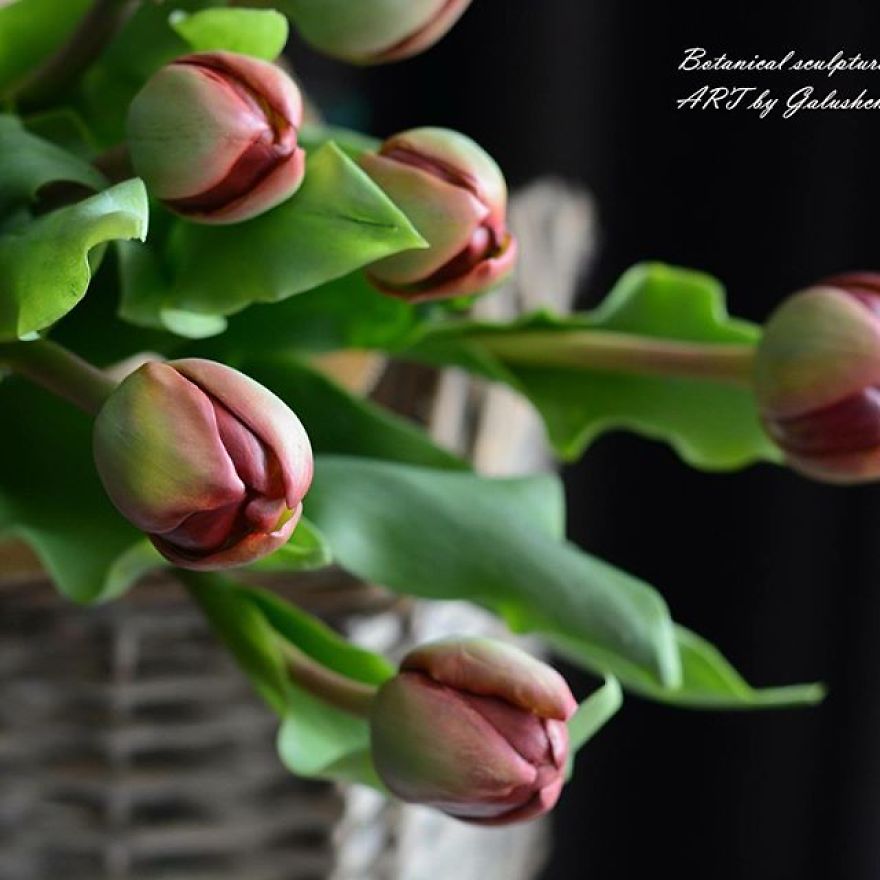 This Artist Creates Amazing Realistic Porcelain Flowers