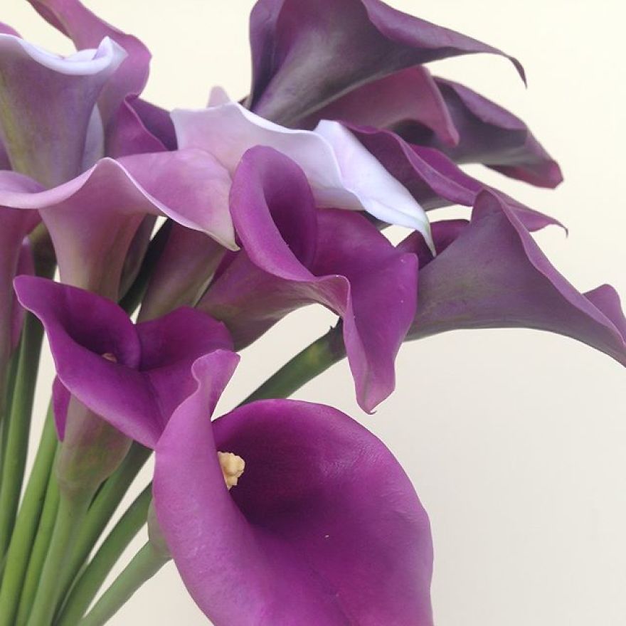 This Artist Creates Amazing Realistic Porcelain Flowers