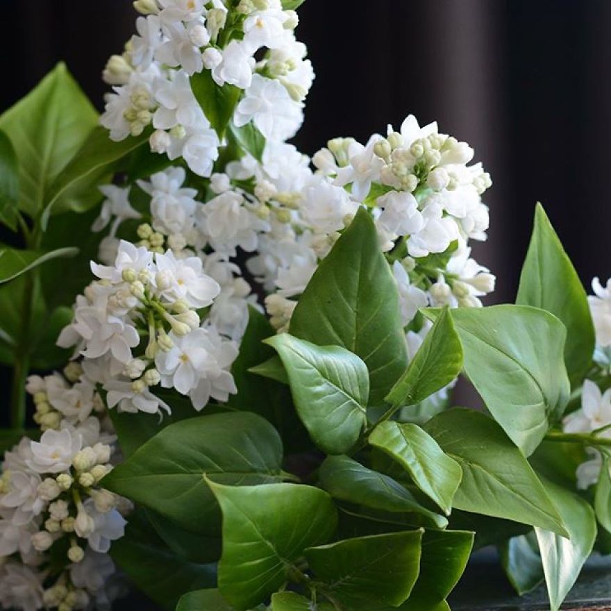 This Artist Creates Amazing Realistic Porcelain Flowers