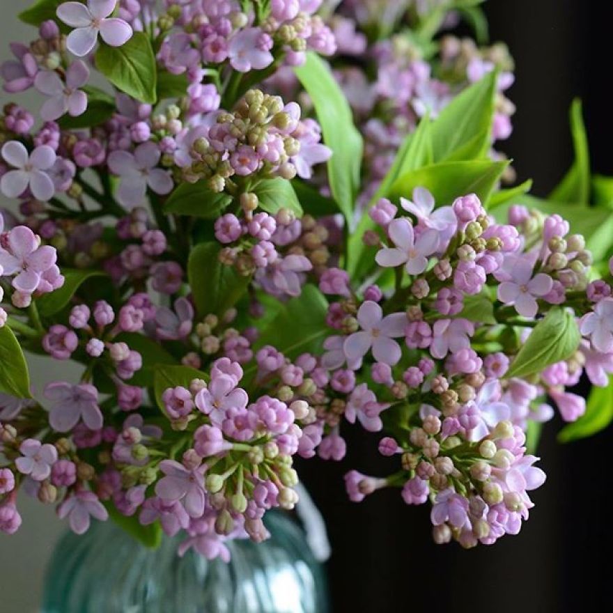 This Artist Creates Amazing Realistic Porcelain Flowers