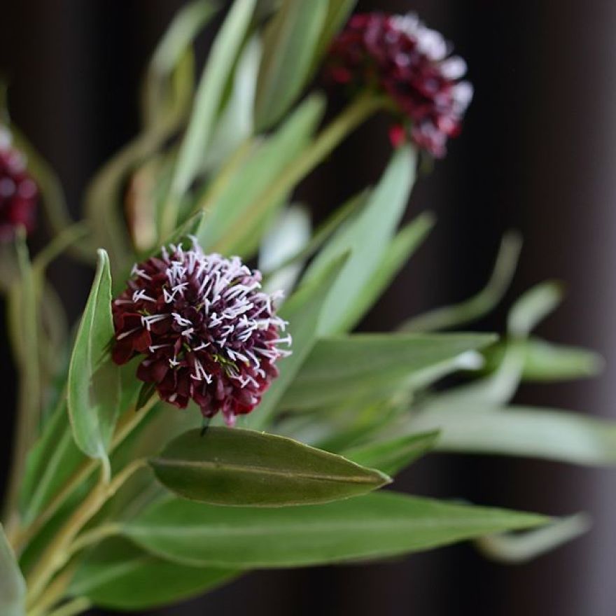 This Artist Creates Amazing Realistic Porcelain Flowers