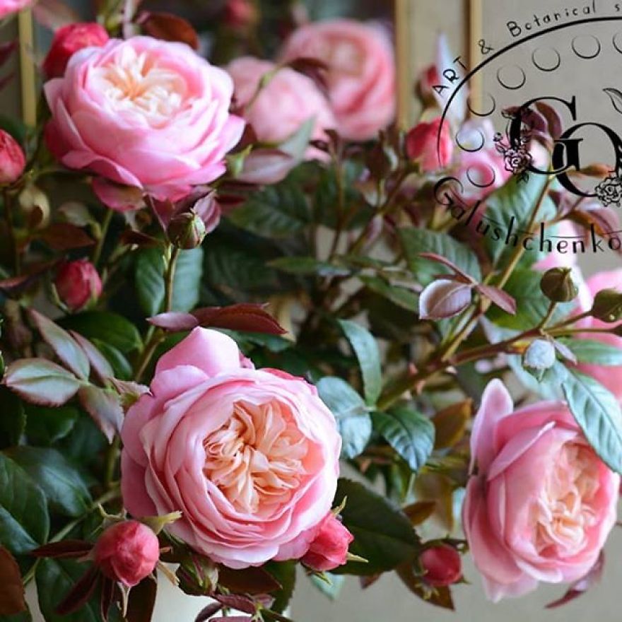 This Artist Creates Amazing Realistic Porcelain Flowers