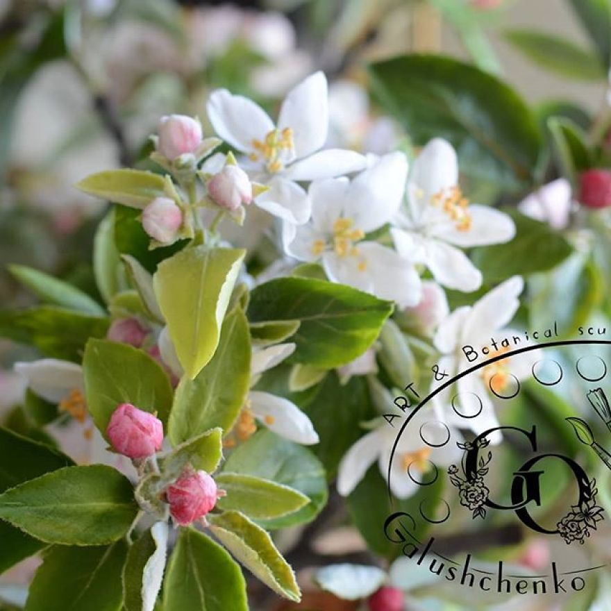 This Artist Creates Amazing Realistic Porcelain Flowers